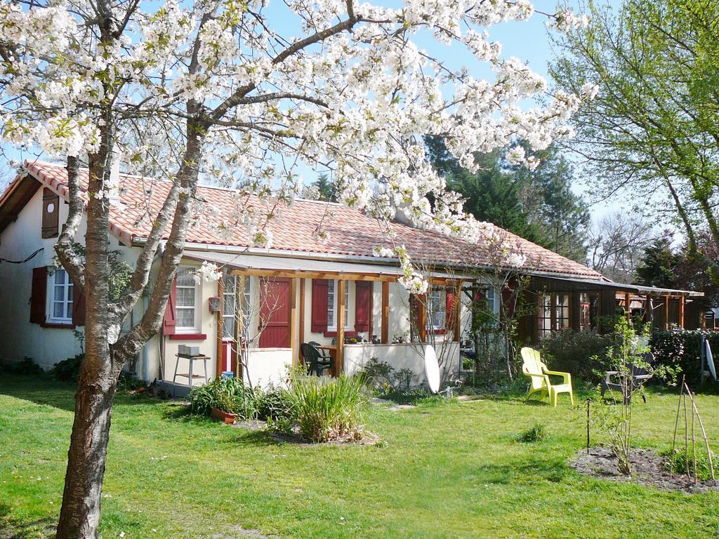 Guesthouse La Burle Parentis-en-Born Szoba fotó