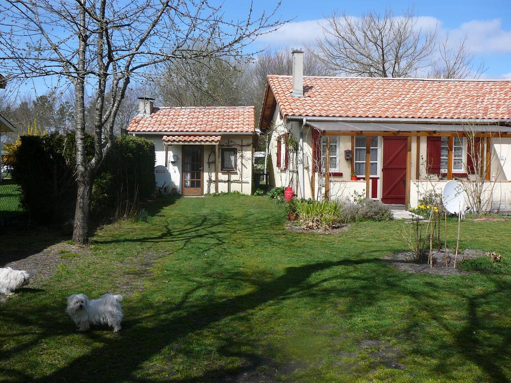Guesthouse La Burle Parentis-en-Born Szoba fotó